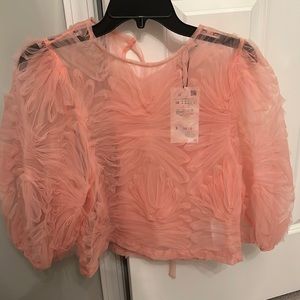 Pink Zara Top